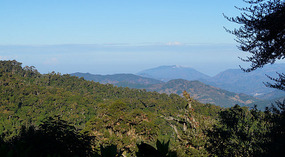 Paraiso Quetzal4