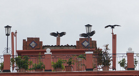 Altstadt21