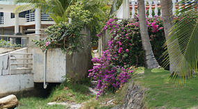 Coronado12