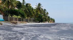 Coronado3