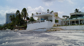 Coronado4