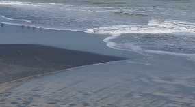 Coronado8