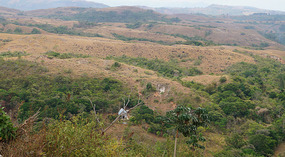 Valle1