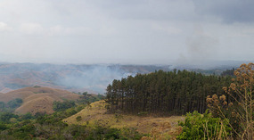 Valle2