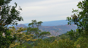 Berge8