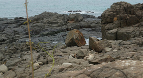 Isla Iguana12