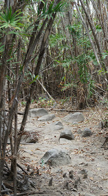 Isla Iguana16