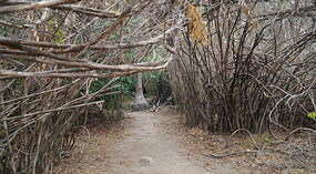 Isla Iguana19