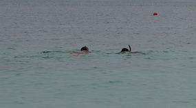 Isla Iguana41