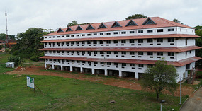 Colon1