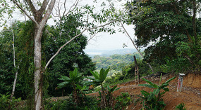 Colon Hinterland