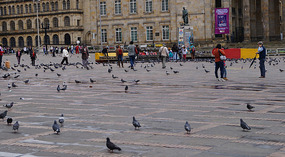 Plaza de Bolivar4