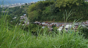 Pereira2