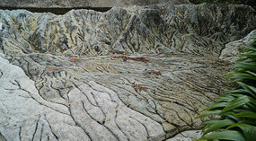 Jadin Botanico10