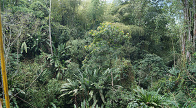 Jadin Botanico14