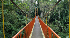 Jadin Botanico15