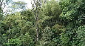 Jadin Botanico17