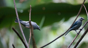 Jadin Botanico19