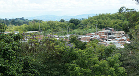 Jadin Botanico20