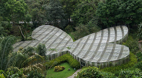 Jadin Botanico21