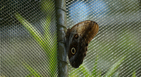 Jadin Botanico27