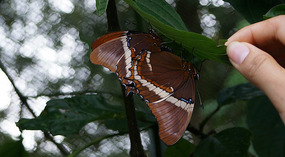 Jadin Botanico34
