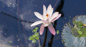 Jadin Botanico35