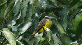 Jadin Botanico5