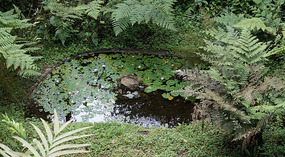Jadin Botanico8