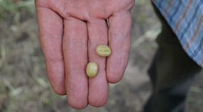Kallee Finca7