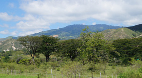 Weg nach Popayan1