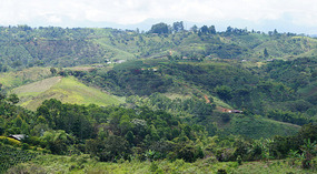 Weg nach Popayan10