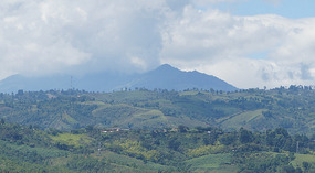 Weg nach Popayan12
