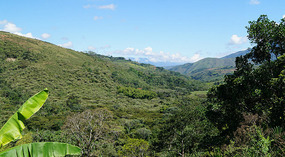 Weg nach Popayan4