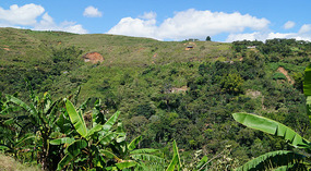 Weg nach Popayan5