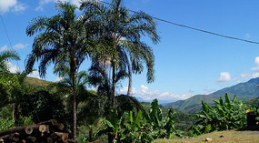 Weg nach Popayan6