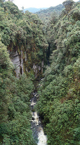 Weg nach San Agustin11