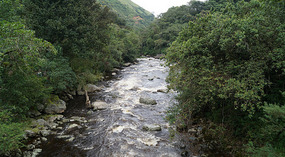Weg nach San Agustin2