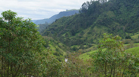 Weg nach San Agustin4