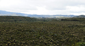 Weg nach San Agustin8