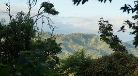 El Maco1