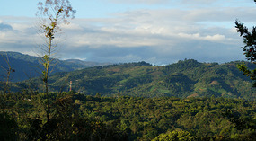 El Maco9