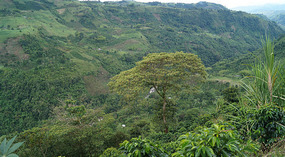 Rio Mazamorras1