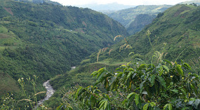 Rio Mazamorras3