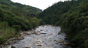 Rio Mazamorras4