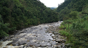 Rio Mazamorras5