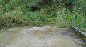 Rio Mazamorras7