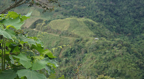 Rio Mazamorras9
