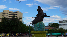 Neiva5