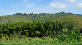 Fahrt nach Medellin3